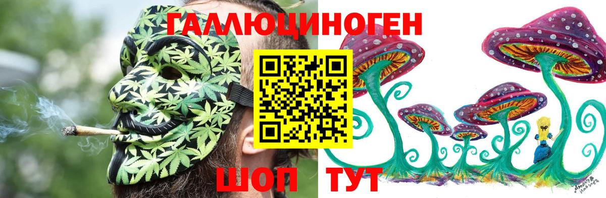 Усть-Илимск  Галлюциногенные грибы Cubensis  Псилоцибиновые грибы Cubensis  Вход с VPN 
